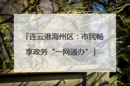 连云港海州区：市民畅享政务“一网通办”