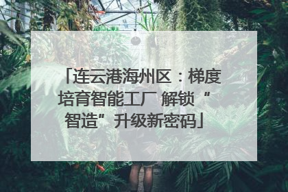 连云港海州区：梯度培育智能工厂 解锁“智造”升级新密码