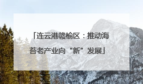 连云港赣榆区：推动海苔老产业向“新”发展