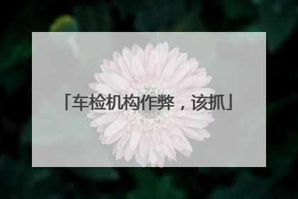 车检机构作弊，该抓