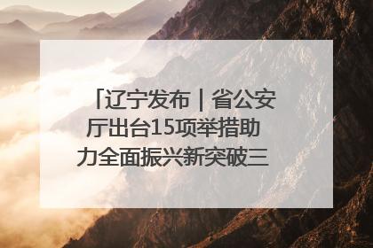 辽宁发布｜省公安厅出台15项举措助力全面振兴新突破三年行动决胜之战