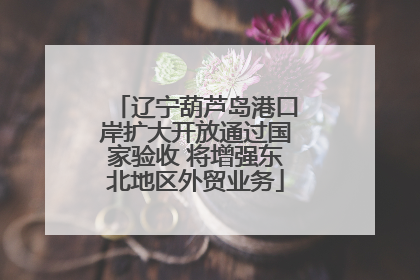 辽宁葫芦岛港口岸扩大开放通过国家验收 将增强东北地区外贸业务