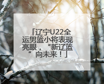 辽宁U22全运男篮小将表现亮眼，“新辽篮”向未来！