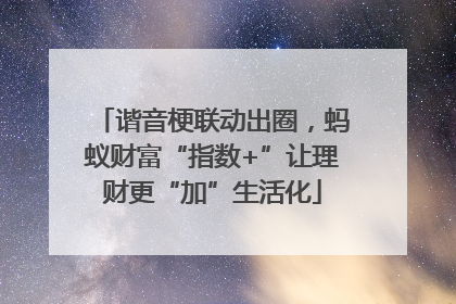 谐音梗联动出圈，蚂蚁财富“指数+”让理财更“加”生活化