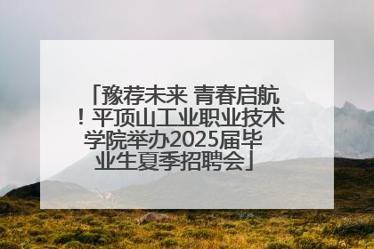 豫荐未来 青春启航！平顶山工业职业技术学院举办2025届毕业生夏季招聘会