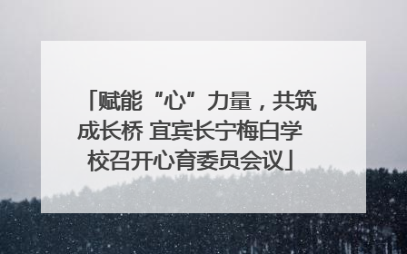 赋能“心”力量，共筑成长桥 宜宾长宁梅白学校召开心育委员会议