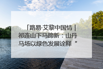 路易·艾黎中国情｜祁连山下马蹄新：山丹马场以绿色发展诠释“两山”理论实践