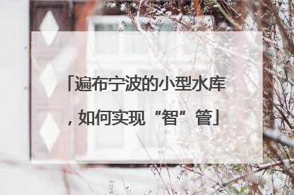 遍布宁波的小型水库，如何实现“智”管