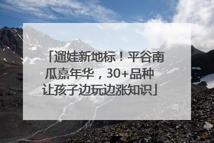 遛娃新地标！平谷南瓜嘉年华，30+品种让孩子边玩边涨知识
