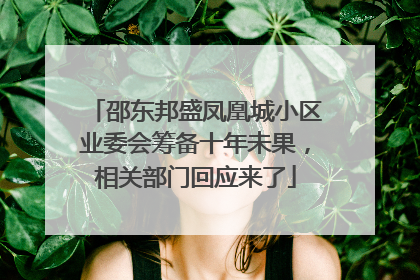 邵东邦盛凤凰城小区业委会筹备十年未果，相关部门回应来了