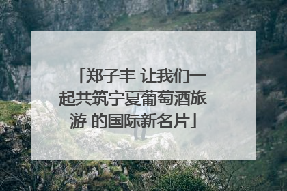 郑子丰 让我们一起共筑宁夏葡萄酒旅游 的国际新名片