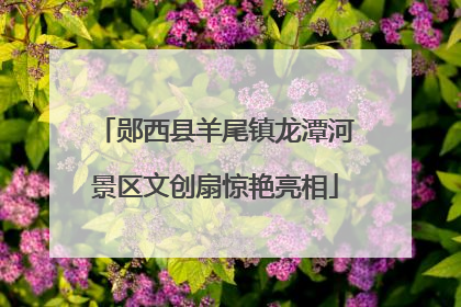 郧西县羊尾镇龙潭河景区文创扇惊艳亮相