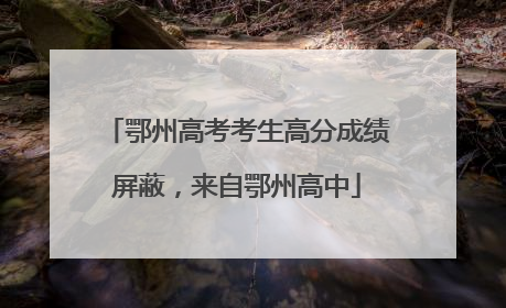 鄂州高考考生高分成绩屏蔽，来自鄂州高中