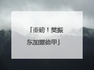 重磅！樊振东加盟德甲