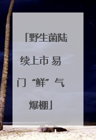野生菌陆续上市 易门“鲜”气爆棚