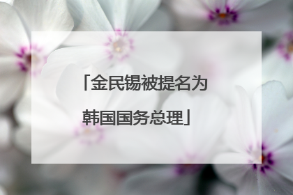 金民锡被提名为韩国国务总理