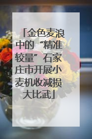 金色麦浪中的“精准较量”石家庄市开展小麦机收减损大比武