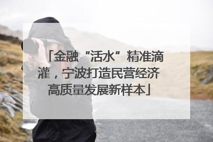 金融“活水”精准滴灌，宁波打造民营经济高质量发展新样本