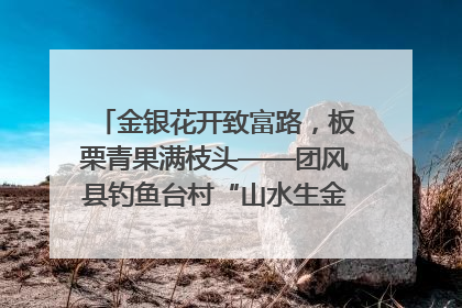 金银花开致富路，板栗青果满枝头——团风县钓鱼台村“山水生金”谱写共富新篇章