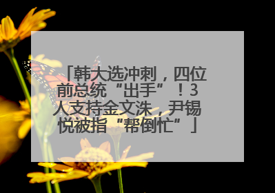 韩大选冲刺，四位前总统“出手”！3人支持金文洙，尹锡悦被指“帮倒忙”