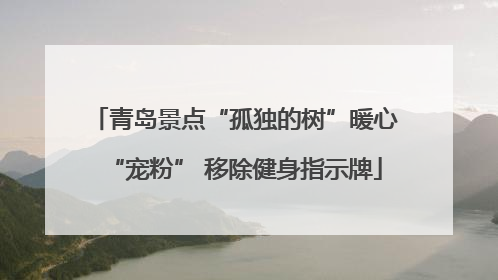 青岛景点“孤独的树”暖心“宠粉” 移除健身指示牌