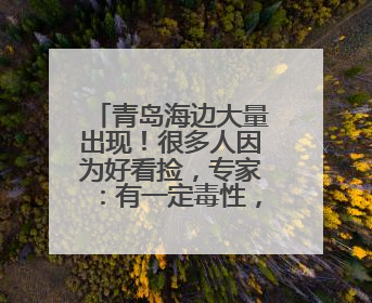 青岛海边大量出现！很多人因为好看捡，专家：有一定毒性，不建议手碰