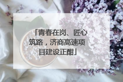 青春在岗、匠心筑路，济商高速项目建设正酣