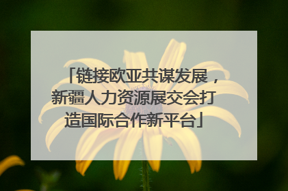 链接欧亚共谋发展，新疆人力资源展交会打造国际合作新平台