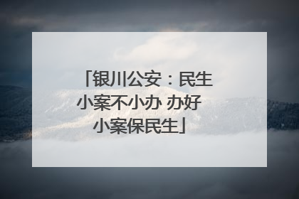 银川公安：民生小案不小办 办好小案保民生