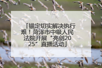 锚定切实解决执行难！菏泽市中级人民法院开展“亮剑2025”直播活动