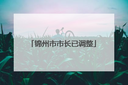 锦州市市长已调整