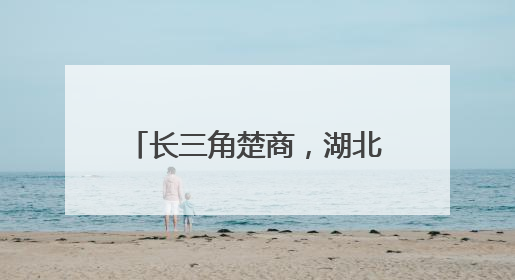 长三角楚商，湖北喊你回家乡投资！
