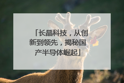 长晶科技，从创新到领先，揭秘国产半导体崛起