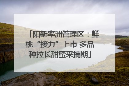 阳新率洲管理区：鲜桃“接力”上市 多品种拉长甜蜜采摘期
