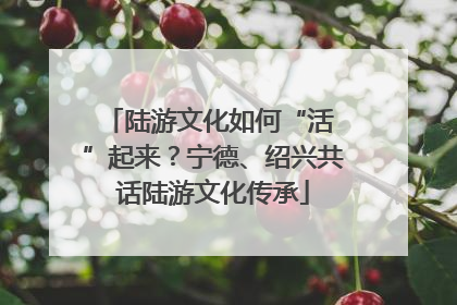 陆游文化如何“活 ”起来？宁德、绍兴共话陆游文化传承