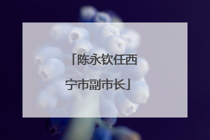 陈永钦任西宁市副市长