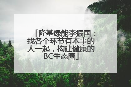 隆基绿能李振国：找各个环节有本事的人一起，构建健康的BC生态圈