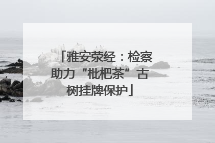 雅安荥经：检察助力“枇杷茶”古树挂牌保护