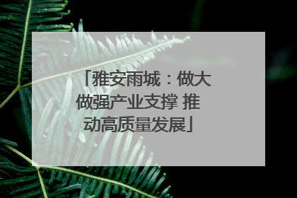 雅安雨城：做大做强产业支撑 推动高质量发展