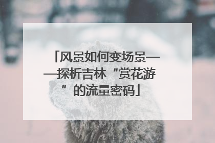 风景如何变场景——探析吉林“赏花游”的流量密码