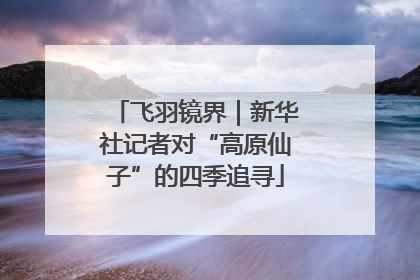 飞羽镜界｜新华社记者对“高原仙子”的四季追寻