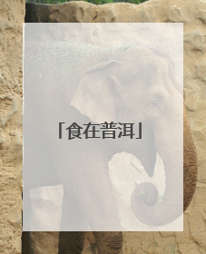 食在普洱