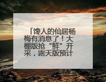 馋人的仙居杨梅有消息了！大棚版抢“鲜”开采，露天版预计要等6月