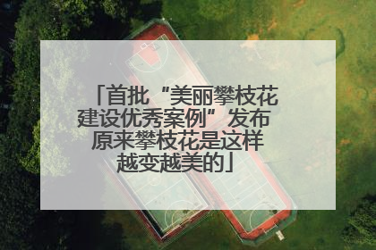 首批“美丽攀枝花建设优秀案例”发布 原来攀枝花是这样越变越美的