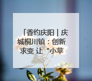 香约庆阳｜庆城桐川镇：创新求变 让“小苹果”做成“大产业”