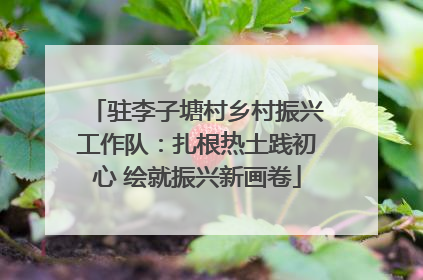 驻李子塘村乡村振兴工作队：扎根热土践初心 绘就振兴新画卷