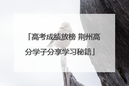 高考成绩放榜 荆州高分学子分享学习秘籍