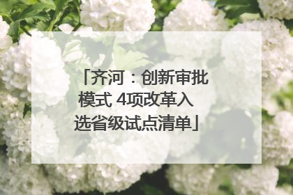 齐河：创新审批模式 4项改革入选省级试点清单