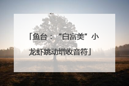 鱼台：“白富美”小龙虾跳动增收音符