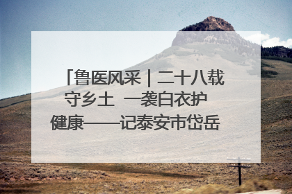 鲁医风采｜二十八载守乡土  一袭白衣护健康——记泰安市岱岳区满庄镇卫生院院长、主任医师张宝喜